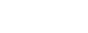 STeM White Logo